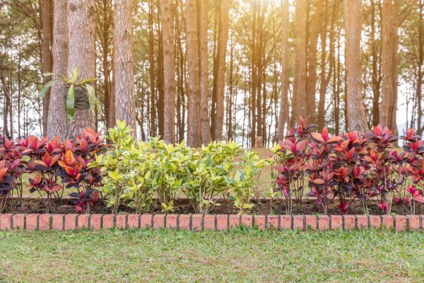 Small Garden Landscaping in Warwick