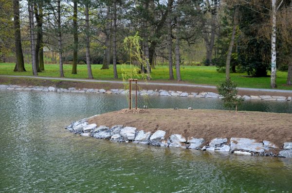 Pond Landscaping Service in Warwick