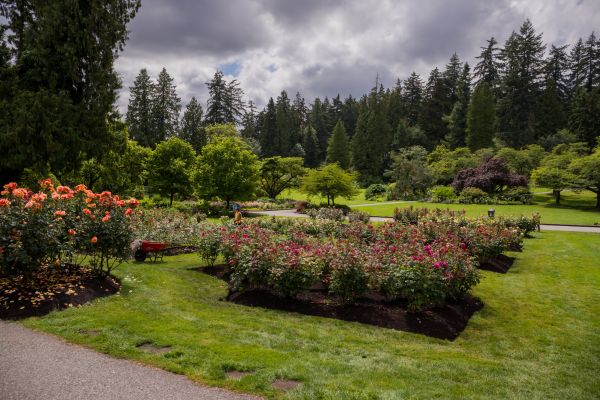 Flower Garden Landscaping in Warwick