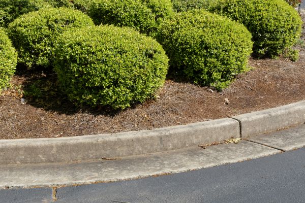 Pine Mulch Installation in Warwick
