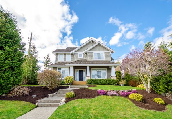 Landscaping Replacement in Warwick