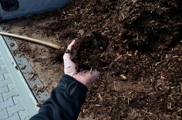 Condo Mulching in Warwick