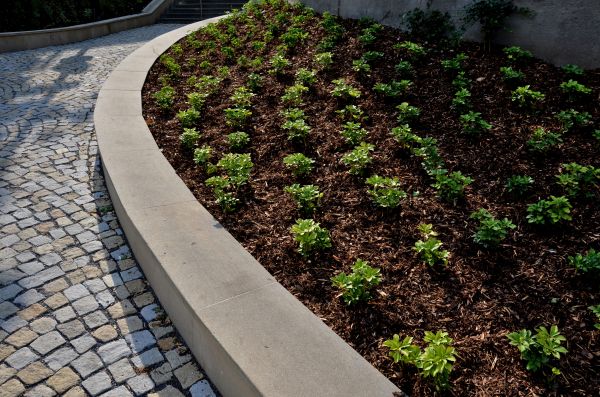 Commercial Mulching in Warwick