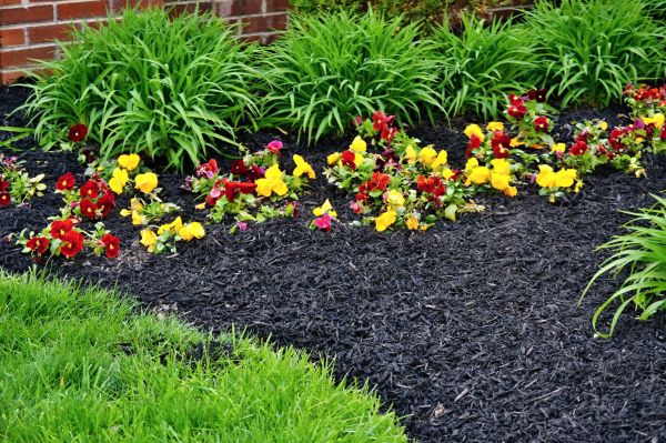 Apartment Mulching in Warwick
