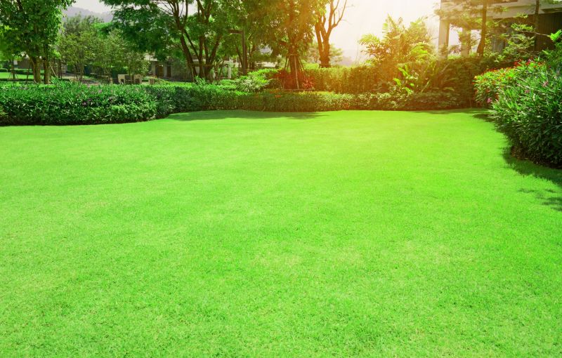 Lawn and Turf Management
