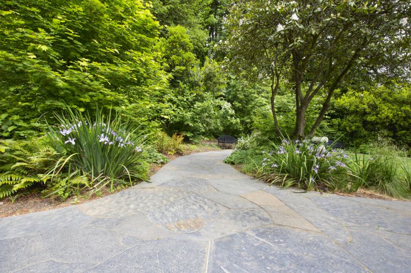 Stone Pathways and Patios