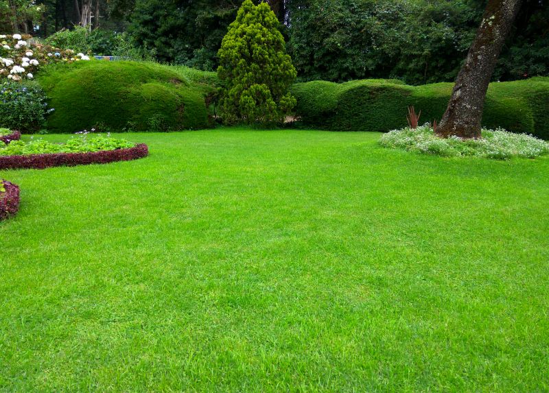 Lawn Transformations